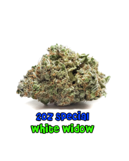2 Oz Special | White Widow | AAA+