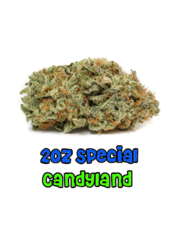 2 oz Special | Candyland | AAA+ | Sativa