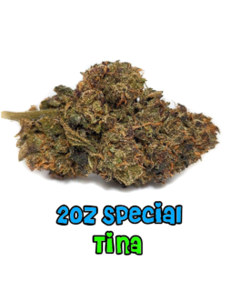 2 oz Special | Tina | AA | Indica