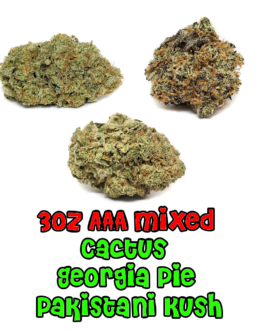 3 oz AAA+ Mixed | Cactus | Georgia Pie | Pakistani Chitral Kush
